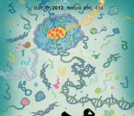 Glicobiología: la “materia oscura” de las ciencias de la vida