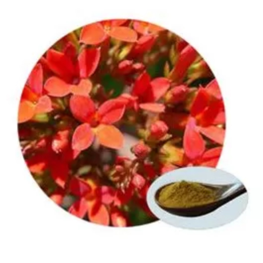CAS 10338-51-9 Suplemento Nutricional Salidroside Derivados del Extracto de Plantas Naturales