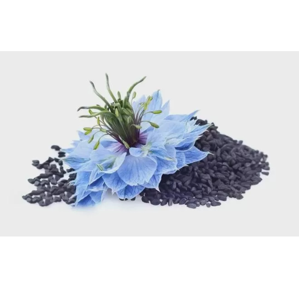 Timoquinona CAS 490-91-5 Extracto de polvo antioxidante Nigella Sativa Fitoquímico anticancerígeno