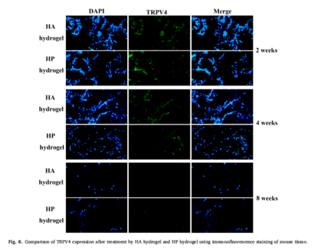 1758686162166546.png image.png