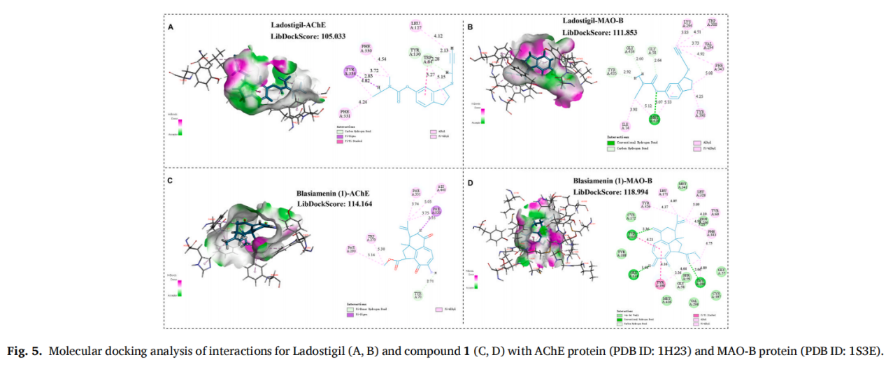 Blasiamenin, una novela reordenada del dinor-diterpenoide de Blachia siamensis (palmitoiletanolamida y uracil producidos por Wuxi Furtherpharm)